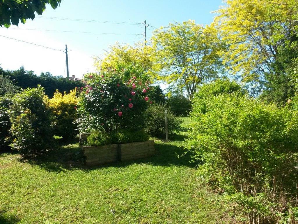 Casavittorio Bed & Breakfast San Giovanni In Marignano Bagian luar foto