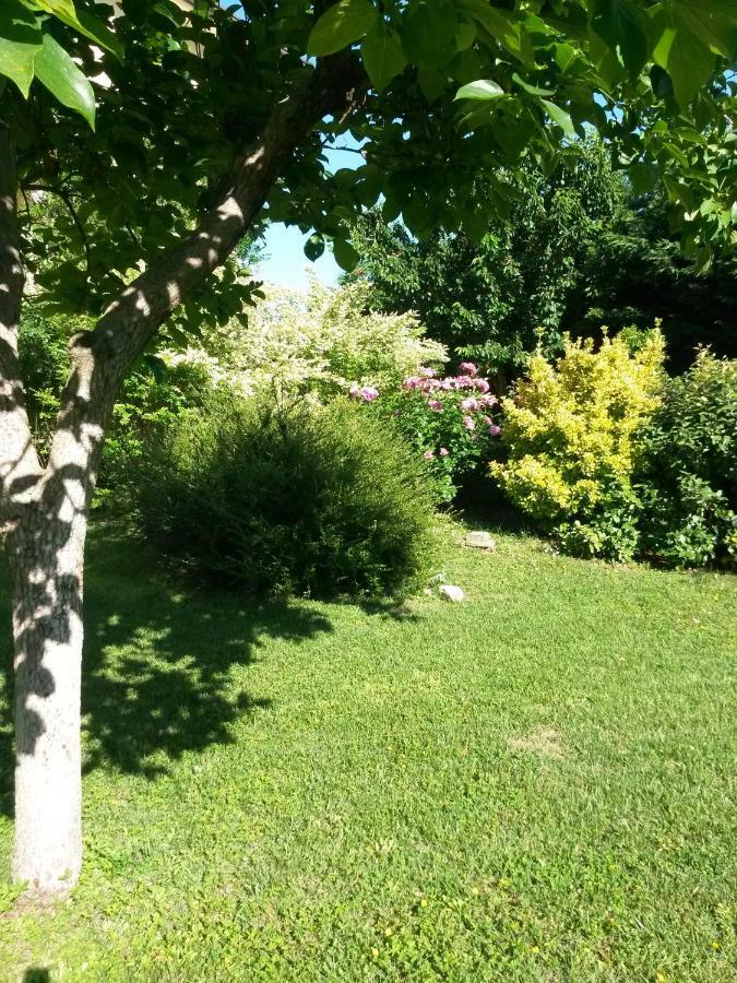 Casavittorio Bed & Breakfast San Giovanni In Marignano Bagian luar foto